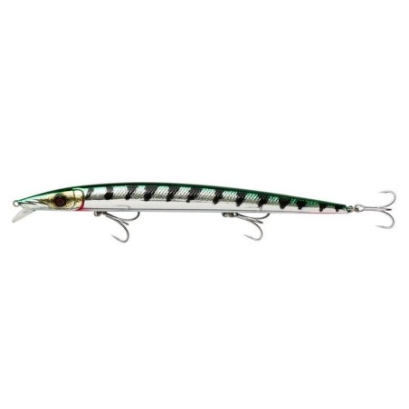 Green Barracuda
