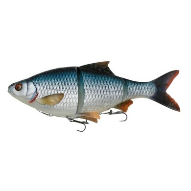 Roach