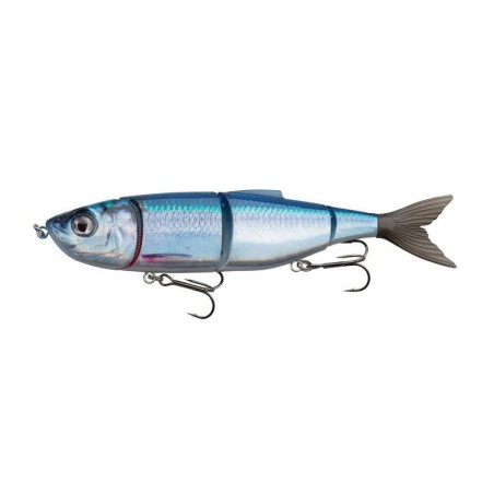 HERRING