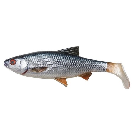 Roach