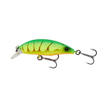 FIRE SHRIMP
