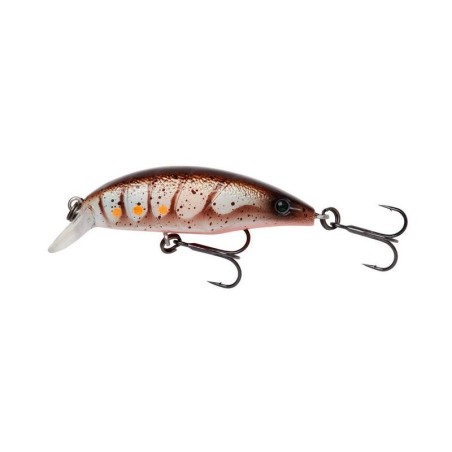 BROWN SHRIMP