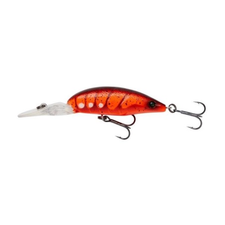 RED SHRIMP
