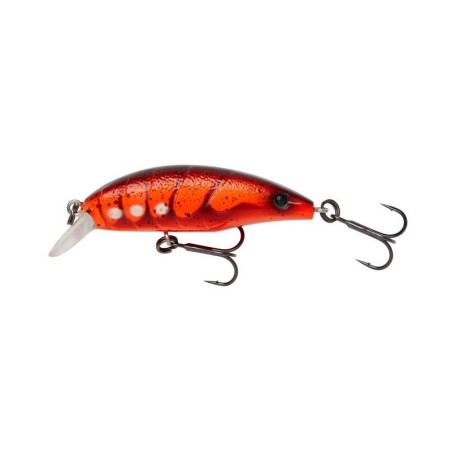 RED SHRIMP