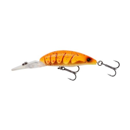 ORANGE SHRIMP