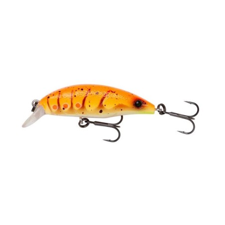 ORANGE SHRIMP