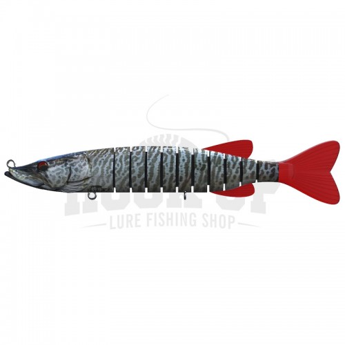 22 Tiger musky