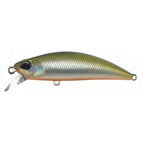 MNI4047 Sábalo de Tennessee