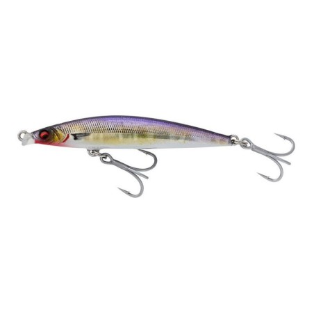 Gold Anchovy