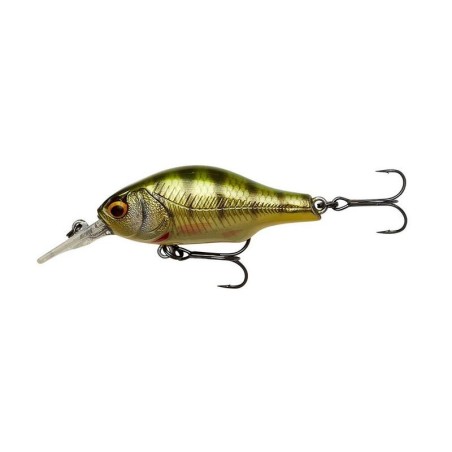 PERCH