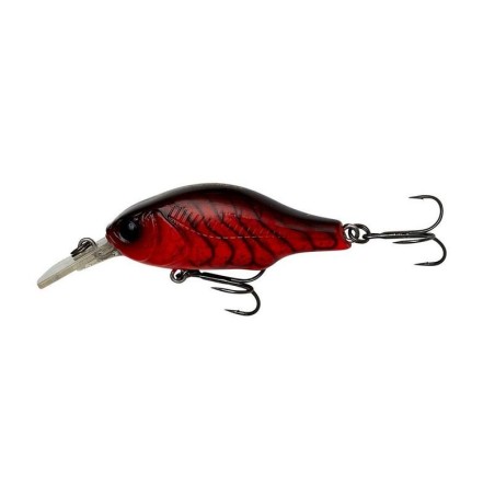RED CRAYFISH