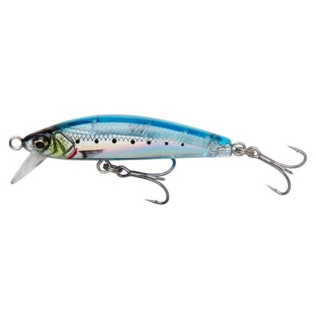 GHOST SARDINE