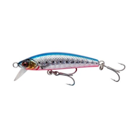 PINK BELLY SARDINE