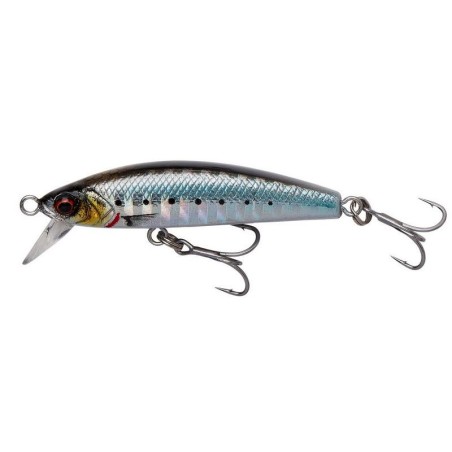 SARDINE PHP