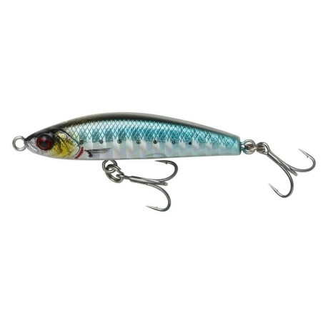 Sardine
