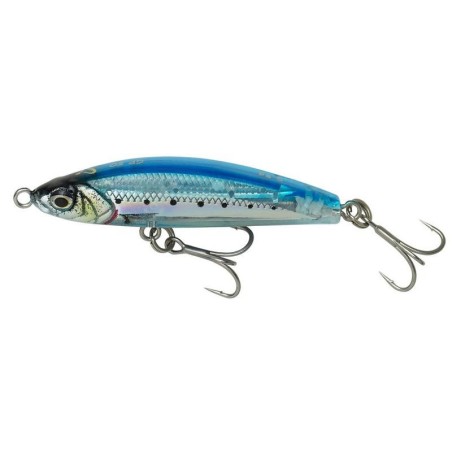 GHOST SARDINE
