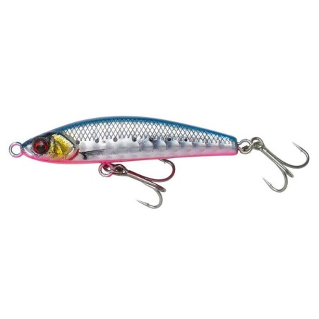 PINK BELLY SARDINE