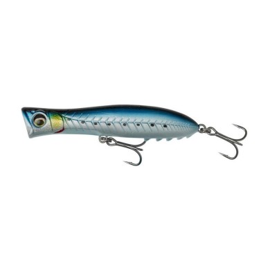 PINK BELLY SARDINE