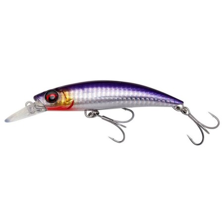 BLOODY ANCHOVY PHP