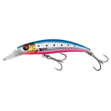 PINK BELLY SARDINE