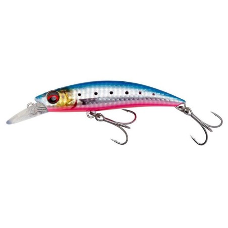 PINK BELLY SARDINE