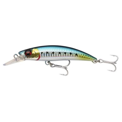Sardines