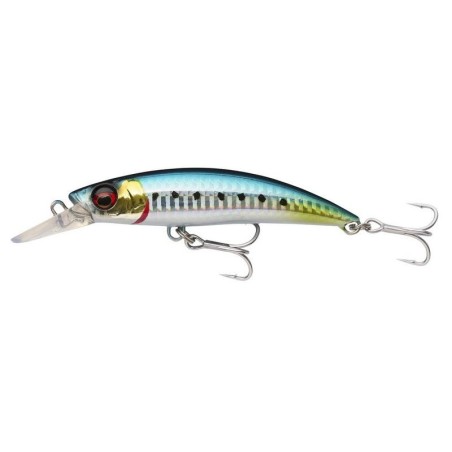 Sardines