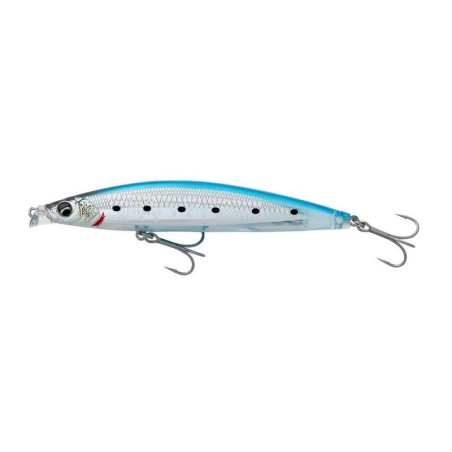 GHOST SARDINE