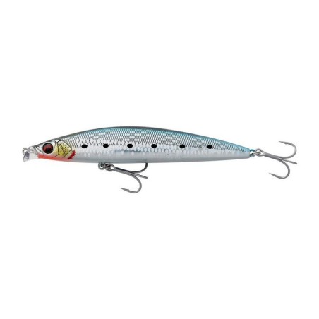Sardine