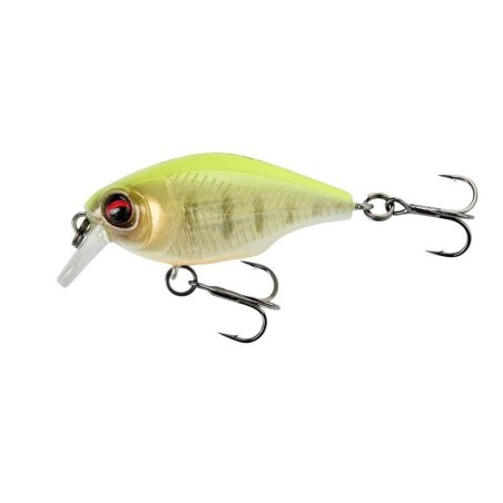 FLUOR YELLOW TIGER