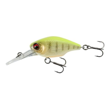 FLUOR YELLOW TIGER