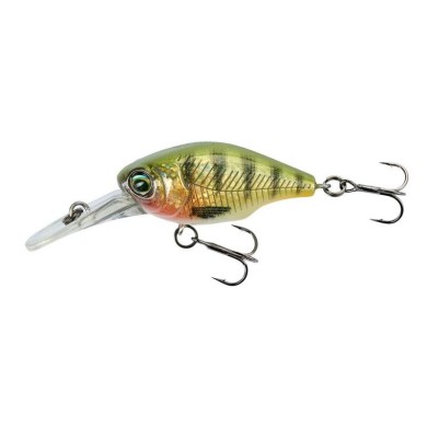 HOLO PERCH