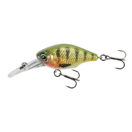 HOLO PERCH