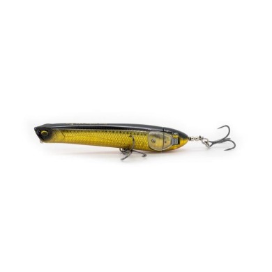 Shiner dorado