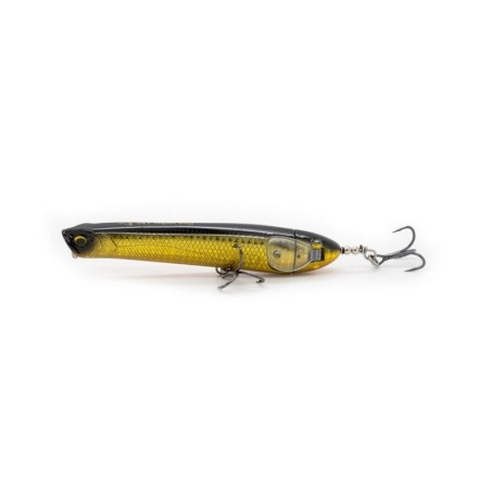 Shiner dorado