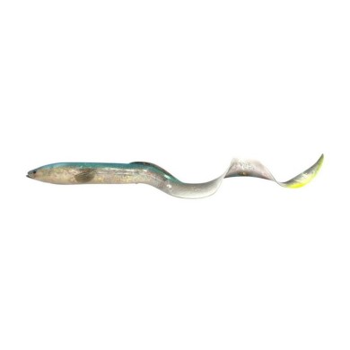 Chameleon Eel