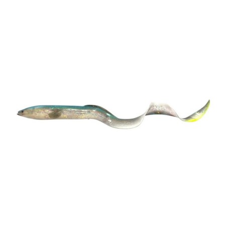 Chameleon Eel