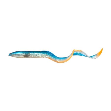 Blue Fegis Eel