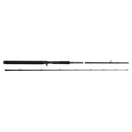 1.98m - Fast - 70-100g - 2 Sections
