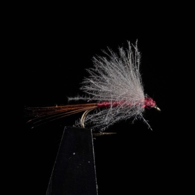 Charnoz - #16 - 3pcs/pk  