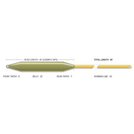 Airflo Forge Sinking Fly Line-