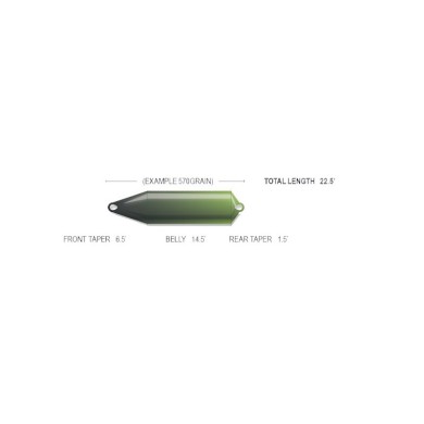 Airflo Skagit Comp F.I.S.T-