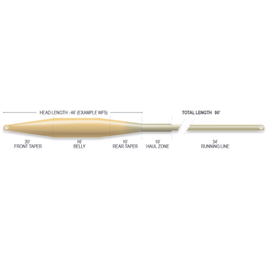 Airflo Ridge 2.0 Tactical Taper-