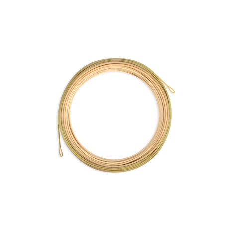 Bamboo/Watery Olive - WF7F