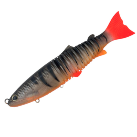31 TILAPIA RED TAIL