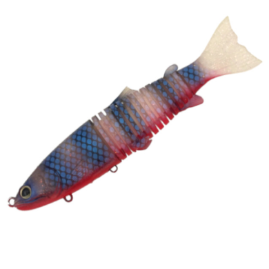41 RED BLUE GILL UV