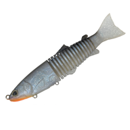 CT38 ROACH