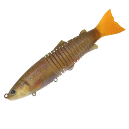 CT06 BROWN TROUT