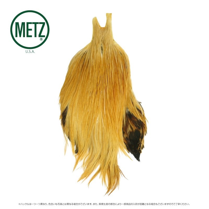 Metz Cou Grade 2-