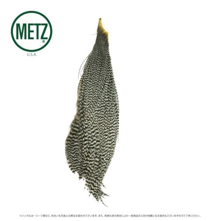 Metz Demi-Cou Grade 3-